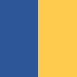 Light Royal Blue/Yellow